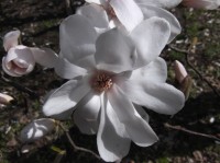 DSCF0383