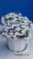 Изображение 021