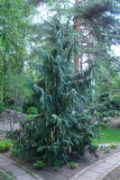 DSC05071