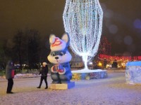 DSCF4144