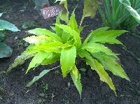 WP 20150711 07 46 14 Pro