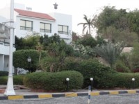 DSC01779