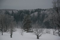 IMG 3852