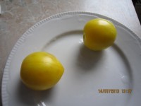 IMG 5320