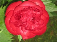 2014 06 04 18 39 14
