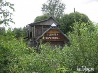 сорняки