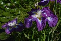 Подарок Пальчиковой