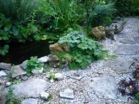 Наташа  пруд у дома