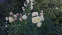 IMG 20140907 162502