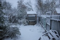 первый снег