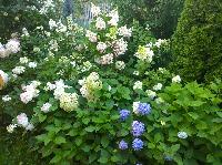 WP 20150810 19 17 51 Pro