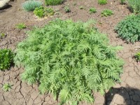 Изображение 064