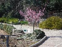DSCN5043   копия