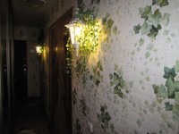 IMG 4480