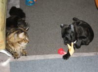 IMG 2986
