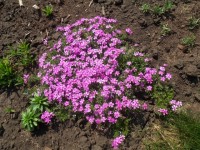 Изображение 026