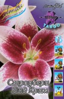 STRAWBERRY  amp  CREAM 25 5р