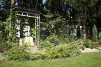 MG 2447  Копировать