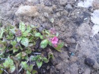 IMG 20130420 WA0020