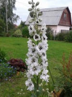 20140630 100931