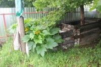 компостер