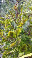 IMG 20150919 141307