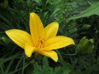 IMG 0065 8