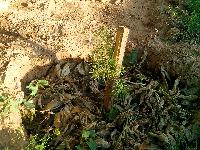 IMG 20160522 174554